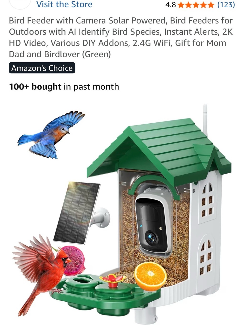 Solar-Powered Bird Feeder with 2K Camera (Green)